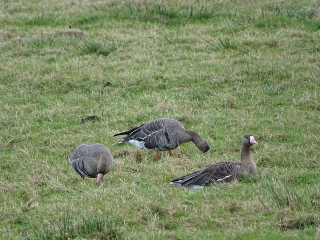 再次实现他 再次实现他