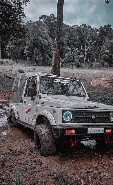 过去的各大 过去的各大