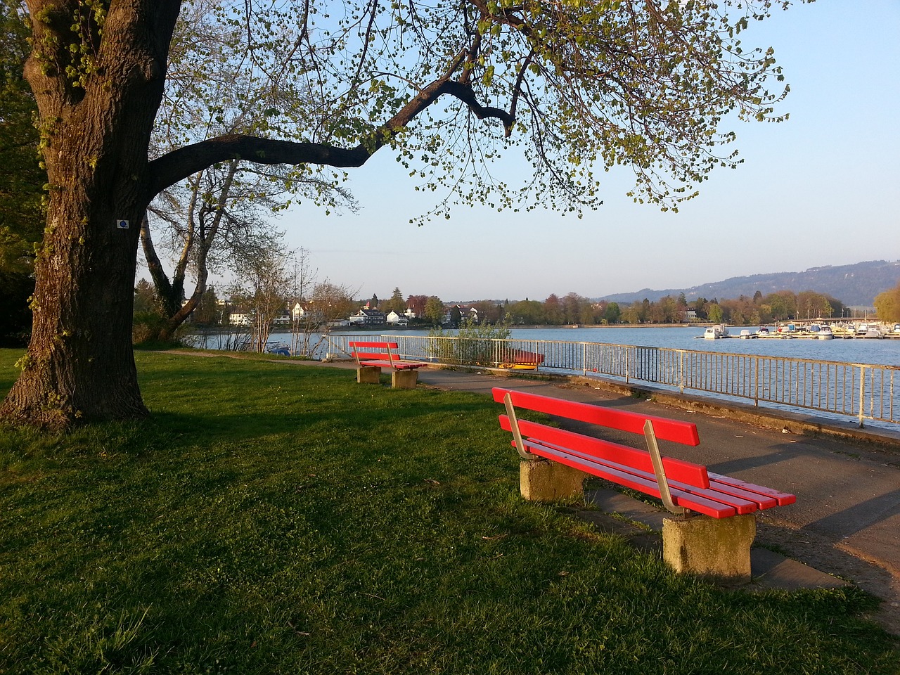 任也可视为 任也可视为