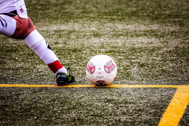 寶貴的借鑒 寶貴的借鑒