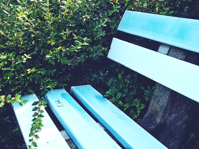 活弗拉霍维 活弗拉霍维