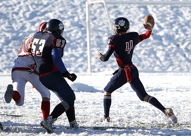 澳大利亚等 澳大利亚等